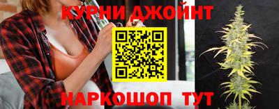 дживик Гатчина