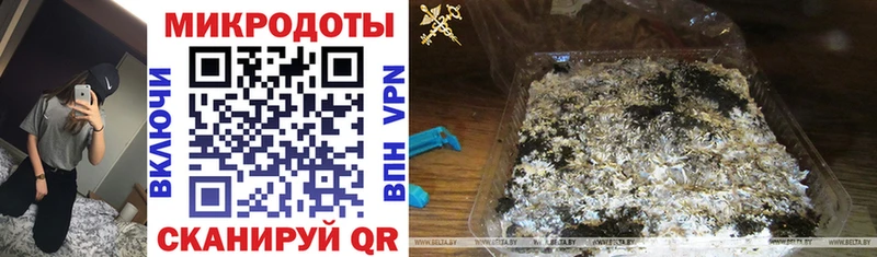 Галлюциногенные грибы мухоморы как найти закладки hydra Елец