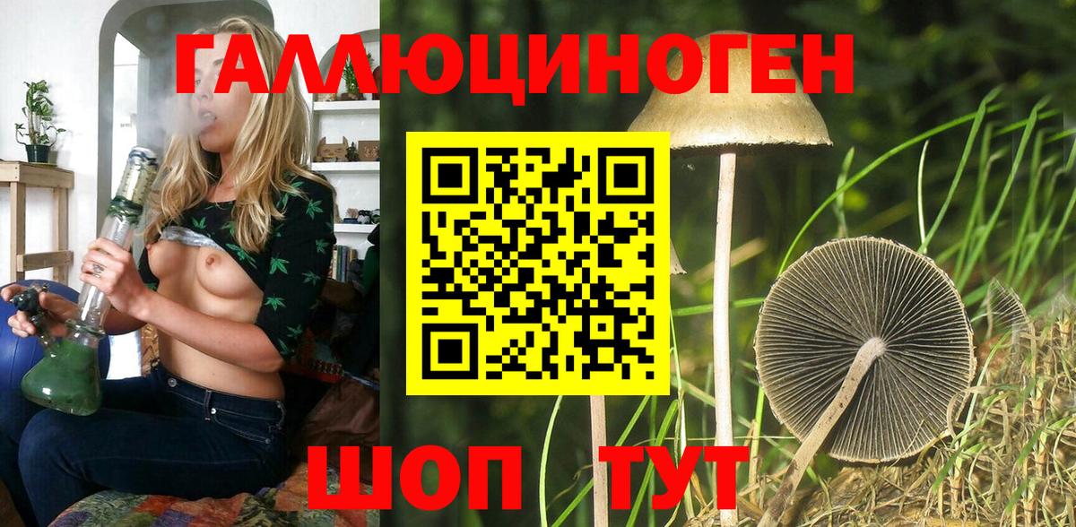 Псилоцибиновые грибы мухоморы Елец