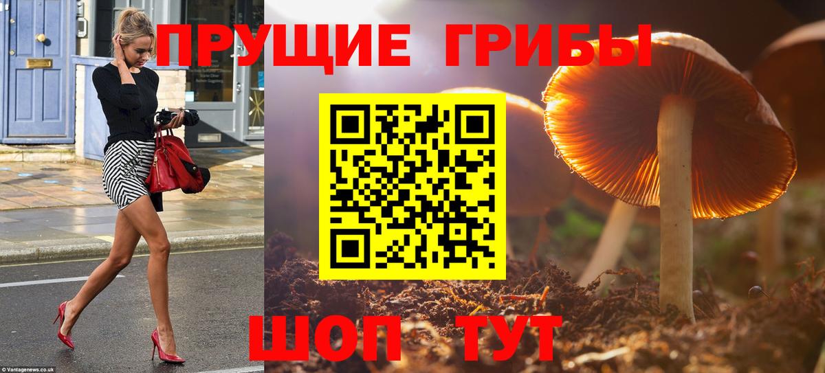 Галлюциногенные грибы Cubensis Елец