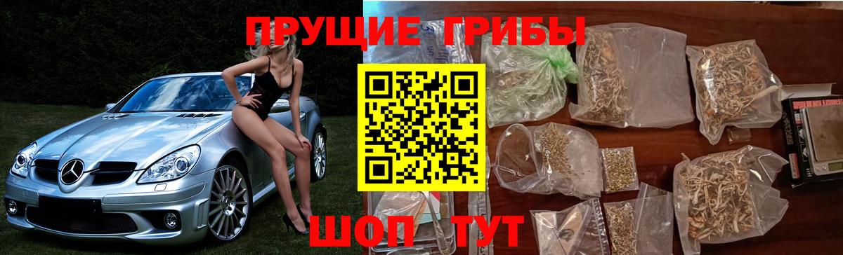 Псилоцибиновые грибы мицелий  Вход с VPN  Елец 