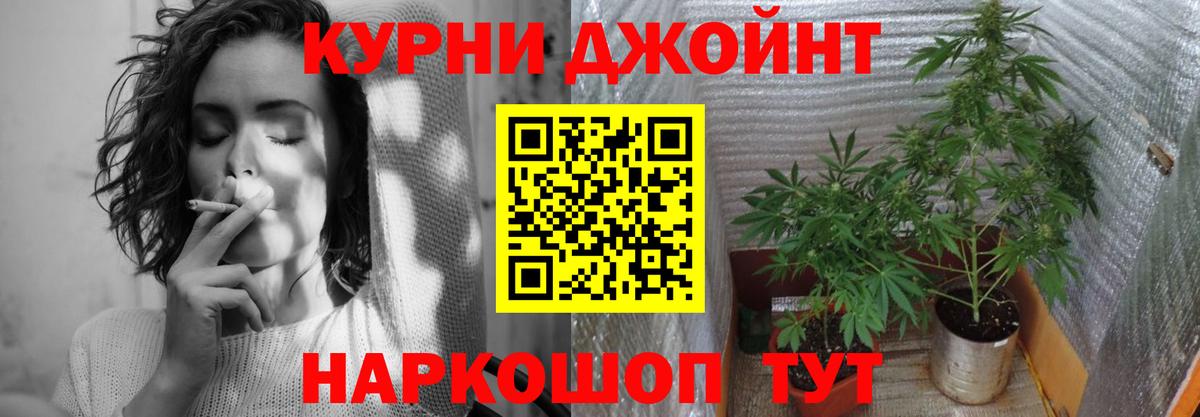 Шишки марихуана White Widow  Марихуана MAZAR  Бошки Шишки планчик  МАРИХУАНА VHQ  Елец 